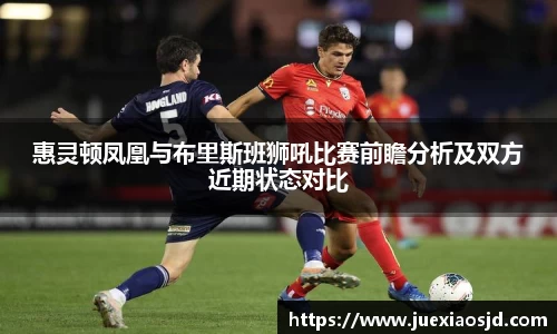 惠灵顿凤凰与布里斯班狮吼比赛前瞻分析及双方近期状态对比